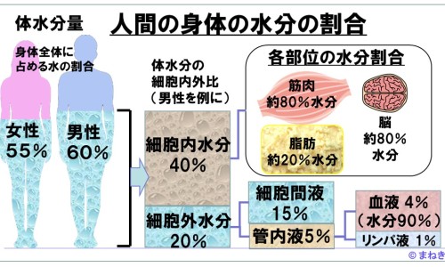 百消追风王价格小瓶网 :分享百消王软膏是正规品牌吗-百消王药膏是专治什么的啊知识